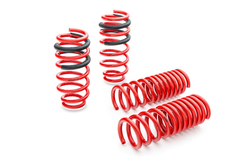 Eibach Sportline Springs for 13-16 BMW F30 320i - SpeedCave